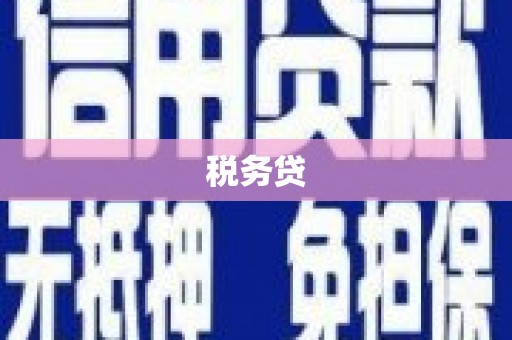 西平税务贷