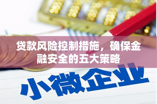 西平贷款风险控制措施，确保金融安全的五大策略