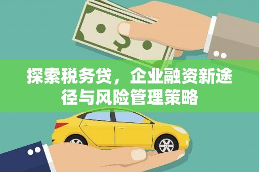 西平探索税务贷，企业融资新途径与风险管理策略