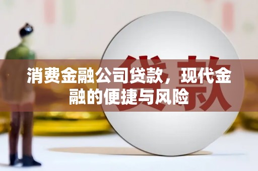 西平消费金融公司贷款，现代金融的便捷与风险
