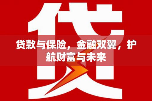 西平贷款与保险，金融双翼，护航财富与未来