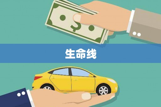 西平生命线