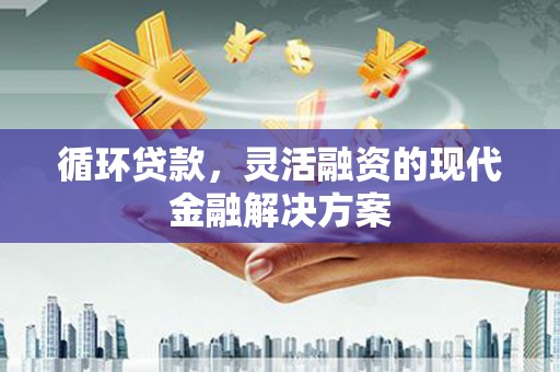 西平循环贷款，灵活融资的现代金融解决方案