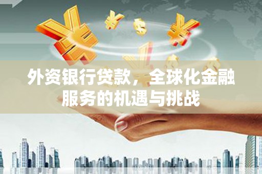 西平外资银行贷款，全球化金融服务的机遇与挑战