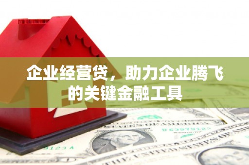 西平企业经营贷，助力企业腾飞的关键金融工具