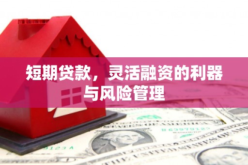 西平短期贷款，灵活融资的利器与风险管理