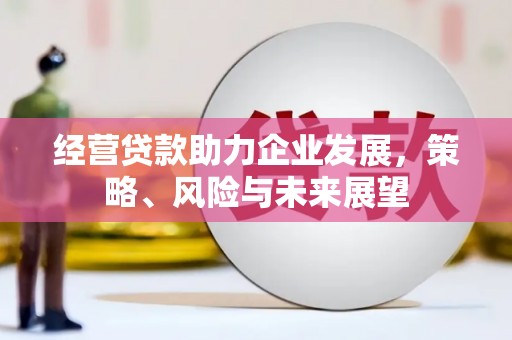 西平经营贷款助力企业发展，策略、风险与未来展望