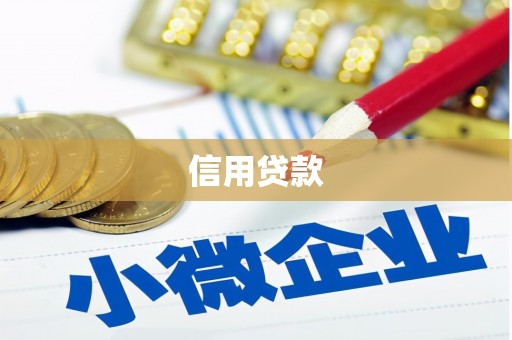 西平信用贷款