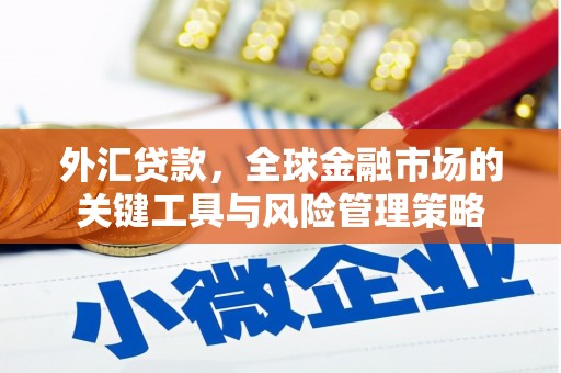 西平外汇贷款，全球金融市场的关键工具与风险管理策略
