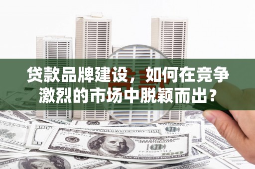 西平贷款品牌建设，如何在竞争激烈的市场中脱颖而出？