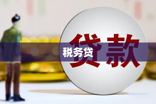 西平税务贷