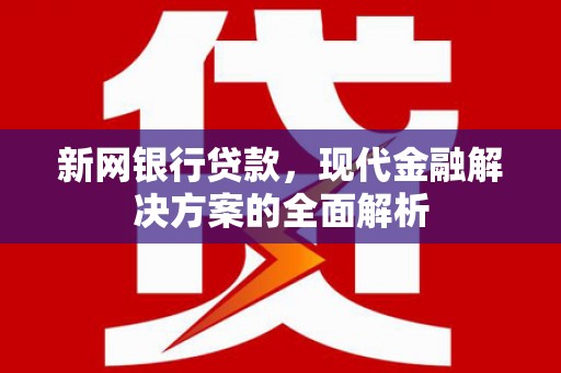 西平新网银行贷款，现代金融解决方案的全面解析