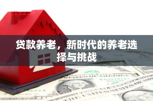 西平贷款养老，新时代的养老选择与挑战