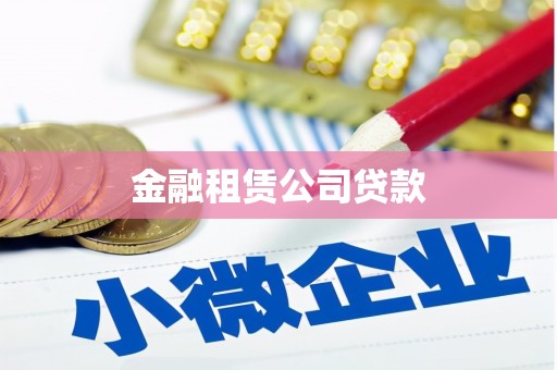 西平金融租赁公司贷款