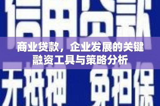西平商业贷款，企业发展的关键融资工具与策略分析