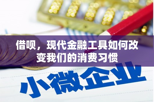 西平借呗，现代金融工具如何改变我们的消费习惯