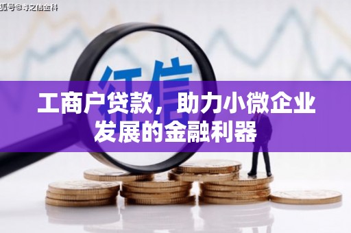 西平工商户贷款，助力小微企业发展的金融利器