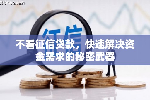 西平不看征信贷款，快速解决资金需求的秘密武器