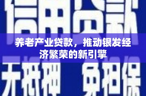 西平养老产业贷款，推动银发经济繁荣的新引擎