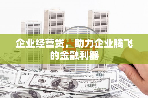 西平企业经营贷，助力企业腾飞的金融利器