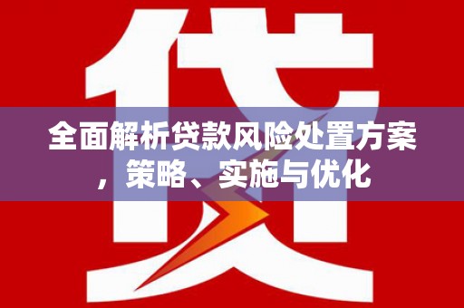 西平全面解析贷款风险处置方案，策略、实施与优化
