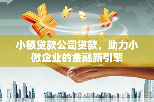 西平小额贷款公司贷款，助力小微企业的金融新引擎