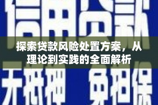 西平探索贷款风险处置方案，从理论到实践的全面解析