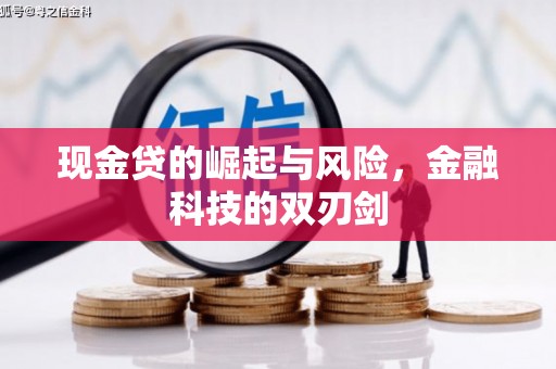 西平现金贷的崛起与风险，金融科技的双刃剑