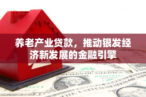 西平养老产业贷款，推动银发经济新发展的金融引擎