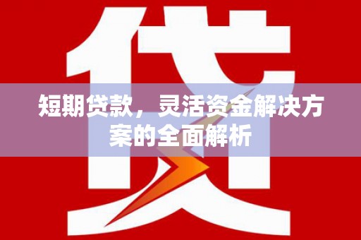 西平短期贷款，灵活资金解决方案的全面解析