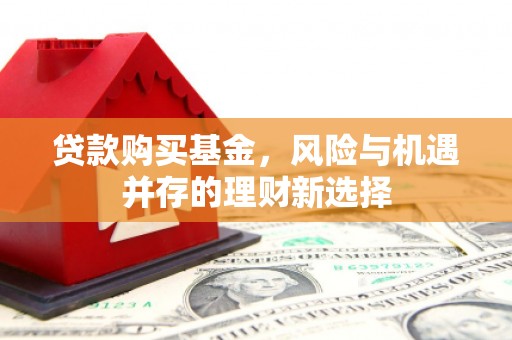 西平贷款购买基金，风险与机遇并存的理财新选择