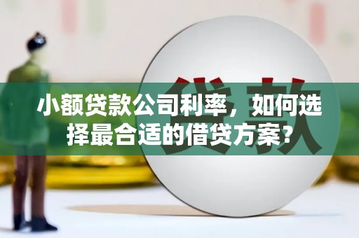 西平小额贷款公司利率，如何选择最合适的借贷方案？