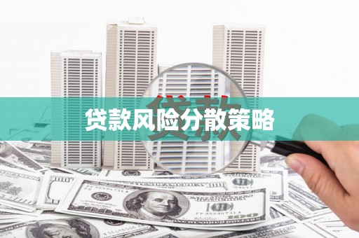 西平贷款风险分散策略