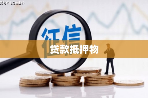 西平贷款抵押物