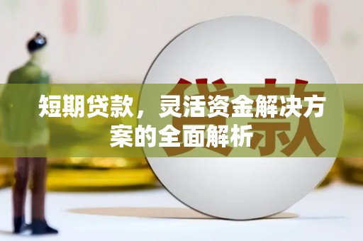 西平短期贷款，灵活资金解决方案的全面解析