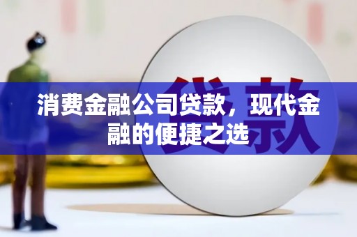 西平消费金融公司贷款，现代金融的便捷之选