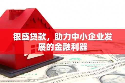 西平银盛贷款，助力中小企业发展的金融利器