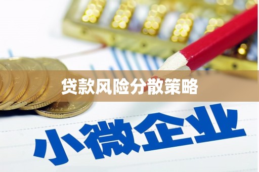 西平贷款风险分散策略