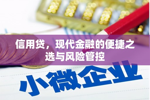 西平信用贷，现代金融的便捷之选与风险管控
