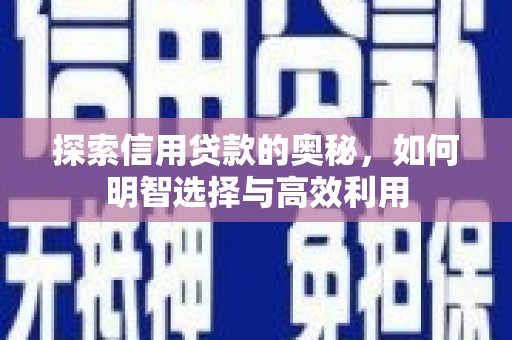 西平探索信用贷款的奥秘，如何明智选择与高效利用