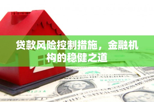 西平贷款风险控制措施，金融机构的稳健之道