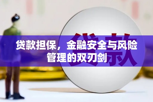 西平贷款担保，金融安全与风险管理的双刃剑