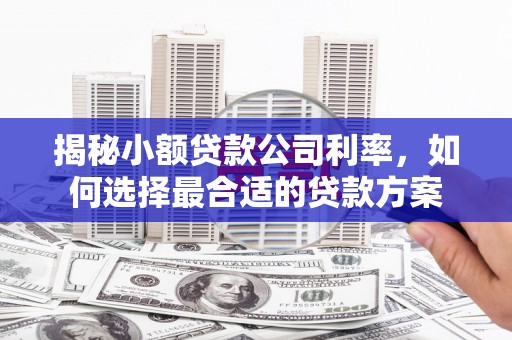 西平揭秘小额贷款公司利率，如何选择最合适的贷款方案