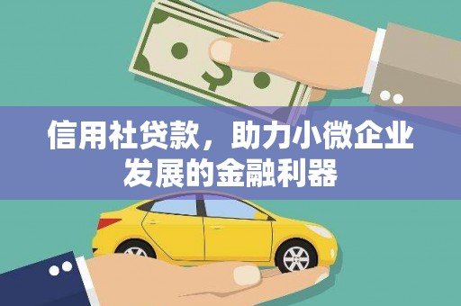 西平信用社贷款，助力小微企业发展的金融利器