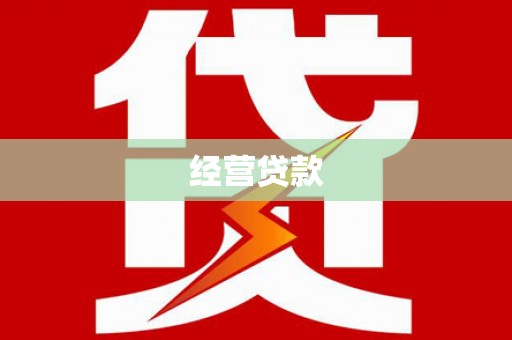 西平经营贷款