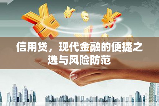 西平信用贷，现代金融的便捷之选与风险防范