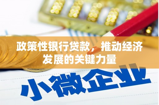 西平政策性银行贷款，推动经济发展的关键力量