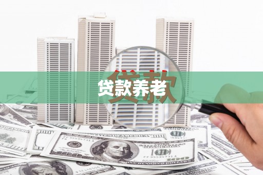 西平贷款养老