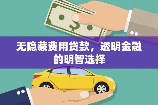 西平无隐藏费用贷款，透明金融的明智选择