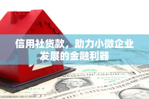 西平信用社贷款，助力小微企业发展的金融利器